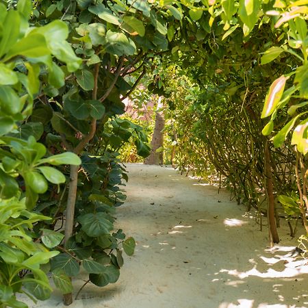 Tago Tulum By G Hotels Екстер'єр фото