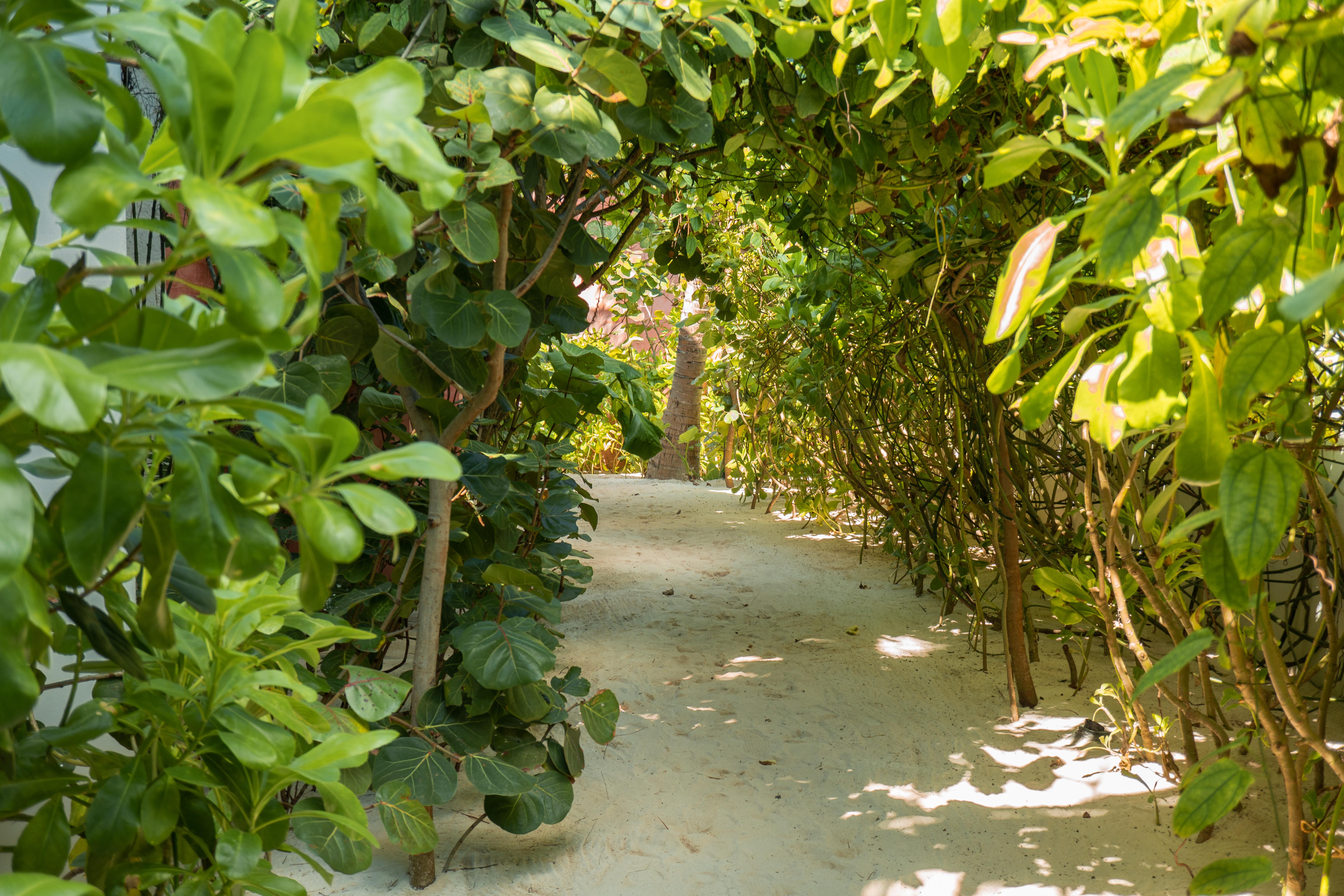 Tago Tulum By G Hotels Екстер'єр фото